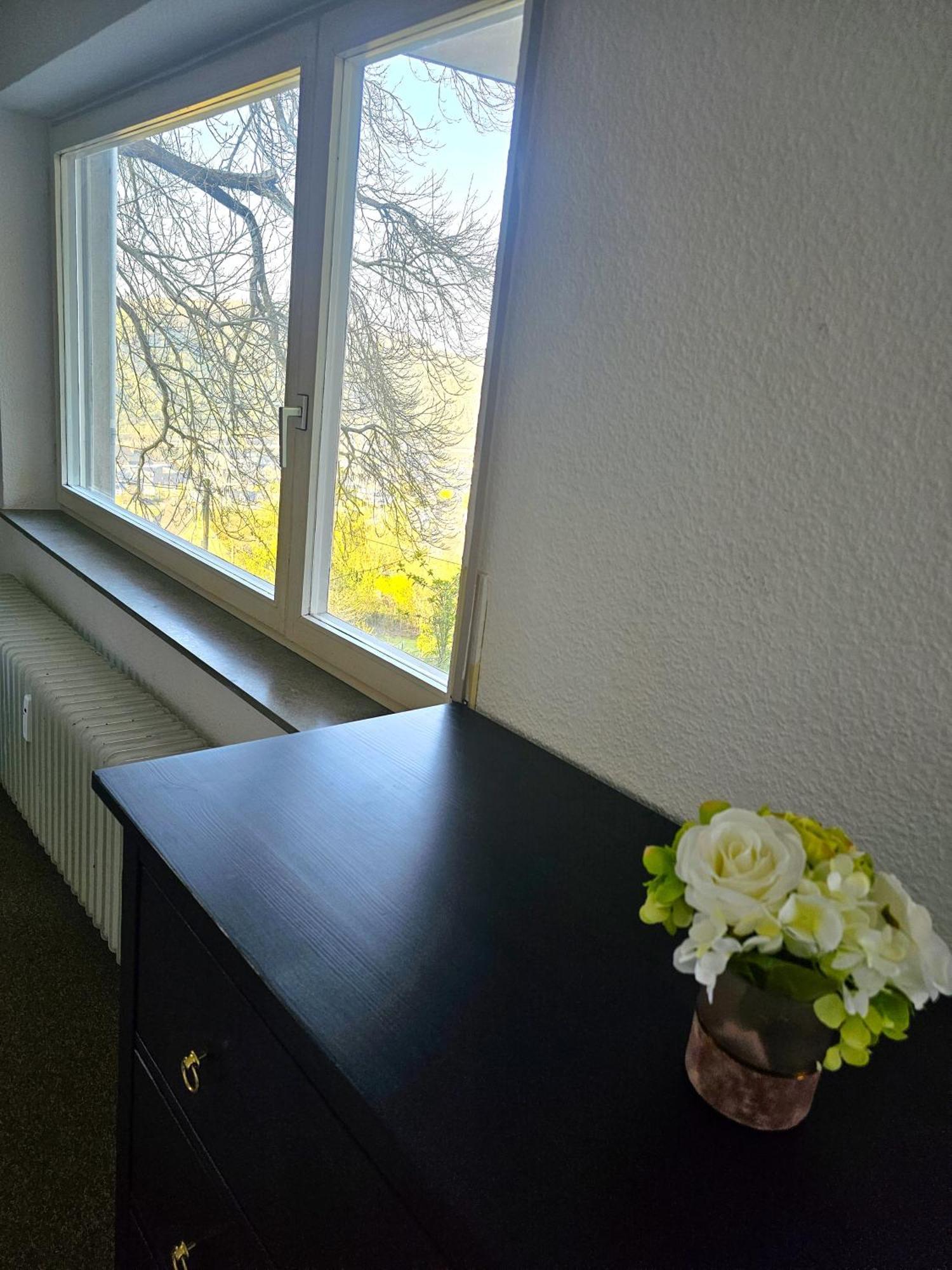 Little Rhineview Chateau - Harry Boppard Buitenkant foto